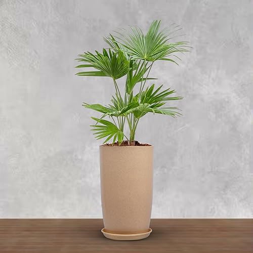 BonKaso 18 inch Beige Flower Pot – Tall, Durable & Lightweight Polymer Tower Planter for Indoor & Outdoor Use: Home, Office, Garden & Balcony (Gamla/Gamale)