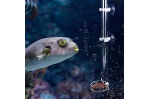 AMONIDA Mangeoire d'aquarium, mangeoire d'aquarium, Accessoires d'aquarium mangeoire à crevettes pour Aquariums de Poissons tropicaux(Tube Length 20cm)