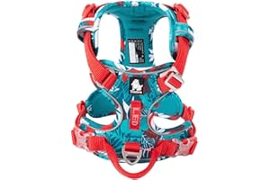 TRUE LOVE Harnais Pour Chien en Nylon Souple Réfléchissant Réglable Sans Traction Pour Petit Grand Animal de Compagnie TLH5653(M, Bleu Camouflage)