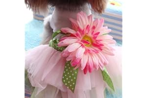 Bodhi2000® - Tutù per cani con margherite e fiori
