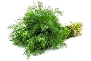 VEENAS Fresh Dill Leaves Bunch | Single Bunch | Vegetarian | Dill Indian herb | Fresh Leaf | Used to Cook for Curry or Soup | for Indian Cuisine | Approx 200G