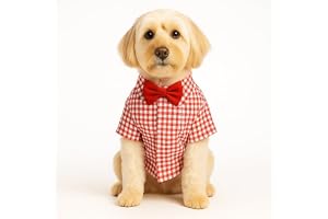Zigly Gingham Glam Dog Shirt 100% Cotton, Lightweight & Breathable Pet Apparel Stylish Checkered Outfit for Dogs (Red & White, M)