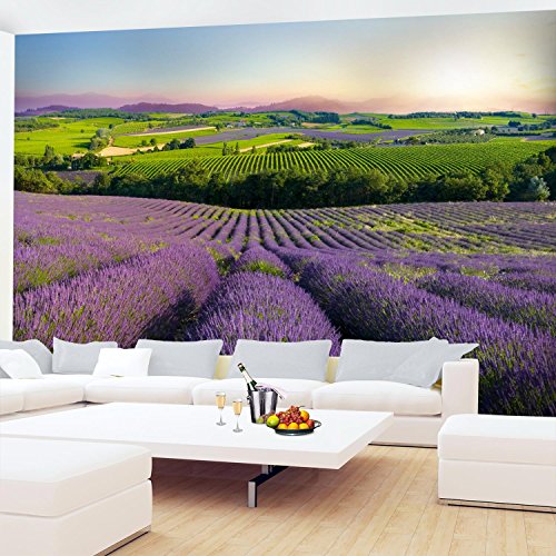 Fototapete Provence 308 x 220 cm – Vliestapete – Wandtapete – Vlies Phototapete – Wand – Wandbilder XXL – !!! 100% MADE IN GERMANY !!! Runa Tapete 9022010b - 4