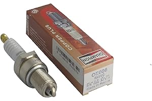 GREENSTAR Champion – Vela de encendido para Champion RN9YC – Durable y fiable – Pieza de repuesto de alta calidad – Equivalente NGK BPR6ES, TASHIMA 2209856, NIPPONDENSO W20EKPRS11