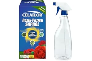Celaflor Rosen-Pilzfrei Saprol Konzentrat 250 ml + Laubner Sprühflasche (500 ml) Mittel Gegen Rosenkrankheiten Rost, Echter Mehltau und Sternrußtau