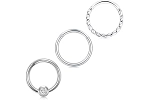 Crdifu 4 Aro de Nariz Acero Quirúrgico 8mm Pendientes Labio Septum Tragus Anillo Segmento Bisagra 16G Piercing