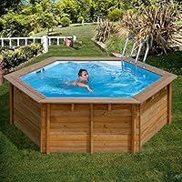 Amazon.fr : piscine hors sol bois - Piscines / Piscines ...