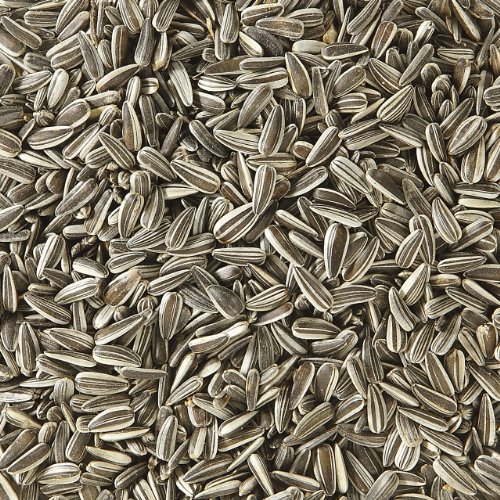 Dehner Natura Sonnenblumenkerne, 5 kg - 2