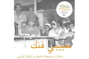 Habibi Funk: An Eclectic Selection