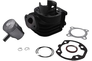 2EXTREME Zylinder Kit 50ccm kompatibel mit Aprilia Amico 50cc, SR, ITTECO Cool, PT, MBK Booster, Naked, NG, Rocket