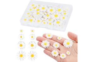 WBZOWRB 100 PCS Margherite Finte Per Decorazioni, Girasoli Finti, Mini Margherite Decorative, In Resina, Piccole Margherite, Ciondoli Decorativi Per Fai Da Te, Decorazioni Per La Casa(8/13/16/22/26Mm)