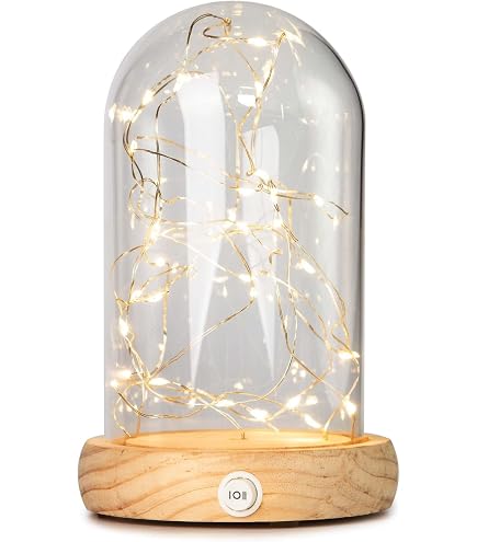 Goobay Glasglocke Mit LED-Lichterkette – 5 M, Warmweiß, Holzfuß, USB-Betrieb, Für Deko & Weihnachten