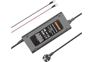 Shentec Batteria LiFePO4 12V Caricabatteria LiFePO4 da 14.6V 20A Intelligente Batterie Ricaricabili a Ciclo Profondo Caricabatterie per 12.8V LiFePO4 Batterie