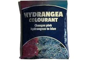 THOMPSON & MORGAN Hydrangea Colourant Pink To Blue Flower Dye Turns Pinks Hydrangeas Blue Aluminium Sulphate Formula With Feed Food For Plants, 2 x 100g Hydrangea Colourant by Thompson and Morgan