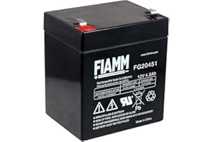 FIAMM Batterie de remplacement APC Back-UPS ES 500