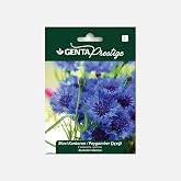 Genta Prestige St. John's Wort/Cornflower Seeds