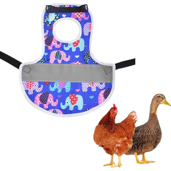 Tablier De Protection Pour Poules - Anti-Picage - Taille 20x19.5cm - Pour Volailles Et Canards