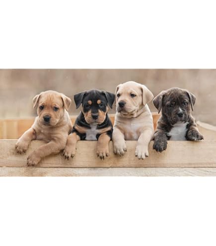 Lustige Küchen- & Badetücher Mit Hundemotiv – Geschenk Für Opa & Hundefans, 40,6 X 61 Cm, Polyester