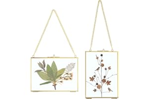 SUMTree 2Pcs Bilderrahmen aus Glas und Metall,Hängende Glas Fotorahmen,Pflanze Probe Clip,Für gepresste Blumen,Fotos,Nur Glasrahmen（Golden,13x18cm,Rechteck）