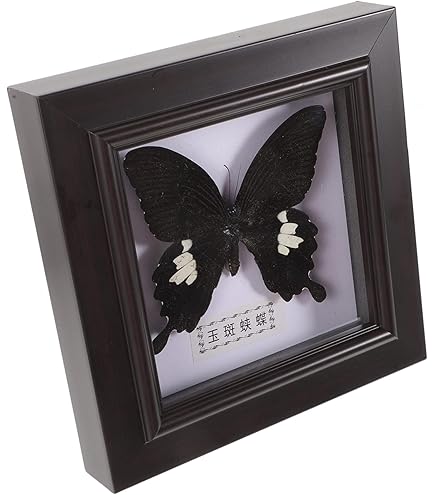 Sammelkarten Rahmen Wandmontage - Display Für Sportkarten Und Baseballkarten