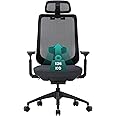 COLAMY Ergonomic Mesh Office Chair, High Back Computer Executive Desk Chair with Adjustable Headrest and 4D Arms, Slide Seat, Tilt Lock (XK01-Black)