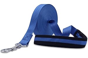 Leeyunbee Smycz treningowa dla psa o długości 5 m, z metalową klamrą i wyściełanym uchwytem, wytrzymała smycz treningowa z trwałego nylonu, idealna do treningu i zabawy (niebieska)