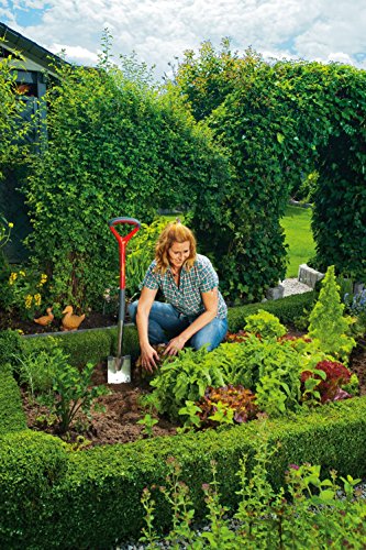 WOLF-Garten Damenspaten AD-E; 73ADA002650 - 5