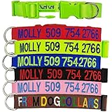 Personalisierte Hundehalsringe, Welpen Halsbänder & gestickte Hundehalsbänder mit Haustier Name & Telefonnummer, 6 Kragen Farben-Schwarz, Grün, Rosa, Gelb, Blau, Rot, 2 Einstellbare Größen für kleinen, mittleren und großen Hund