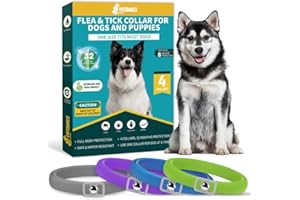 YOTANGO 4-Pack-Dog Collar Repellent Built-in Pant-Based Formula Strong Repellency Slow Release, Pleasant Aroma, Waterproof-Grey, Blue, Purple, Green