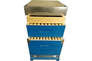 Mondo Ape Arnia Completa per Api - Arnia cubo (Box) 10 favi Completa di melario e telaini - Apicoltura - Arnia per Api