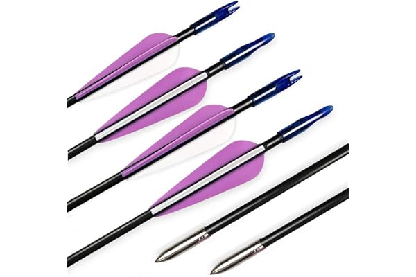 SHARROW Flèches en Fibre de Verre 31 Pouces Spine 900 pour Arc Recourbé Arc Long Traditionnel