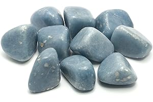 CRYSTALAGE GeoFossils - Angelite, pietre semipreziose, 20-25 mm