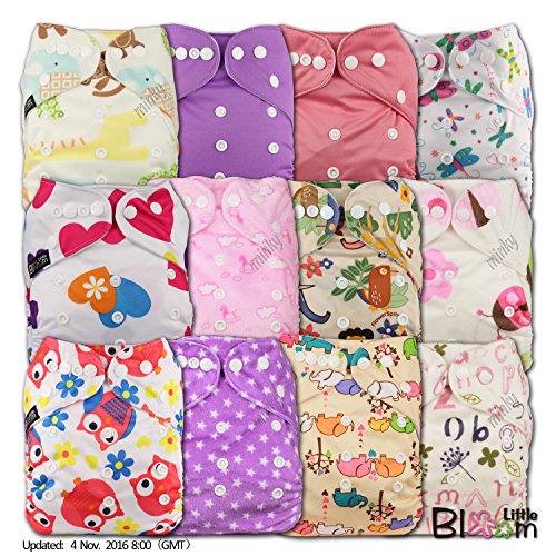 LittleBloom, Reusable Pocket Cloth Nappy, Fastener: Popper, Set of 12