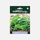 Genta Prestige Arugula Seed Vegetable Seed