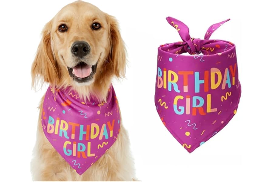 Dog Bandana for Birthday, Bithday Pet Bandana, Pink Triangle Scarf for Small & Medium Dogs, Perfect for Birthday Girl Pets, Birthday Party Accessory (Pink)