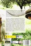 Image de Vacuno de carne con criterios económicos