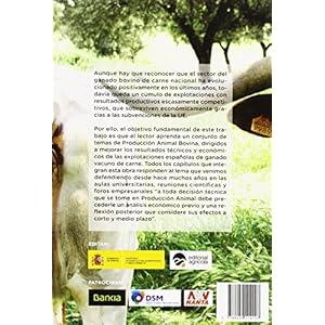 Vacuno de carne con criterios económicos