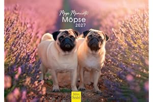 Edition Seidel Premium mopskalender 2027 DIN A5-format. Tysk väggkalender möpse hund haustier valpar hundras