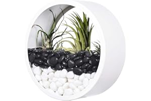 Ecosides Maceta Redonda de Metal para Colgar en Pared, jarrón de Cactus,suculenta,Maceta de Plantas Artificiales,terrario de Cristal Circular y contenedor Vertical para decoración hogar o Oficina