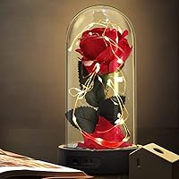 Die Schöne und das Biest Rose Geschenk Kit, rote Seide Rose und LED-Licht mit gefallenen Blütenblättern Geschenke für…
