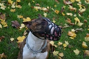 L&J Pets Uk Bozal de perro de cuero genuino ligero para Bull Terrier inglés y otros snou similares