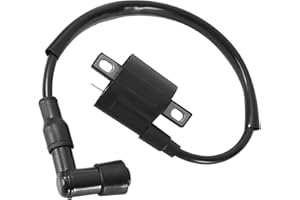 ANRBB Bobine D'allumage Haute Performance pour Moto, Scooter, Cyclomoteur, ATV 125CC 150CC 200CC 250CC, Bobine Allumage Universelle, Remplacement Fiable, Allumage Rapide, Compatible Moteur GY6