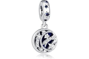 XWN Charms Beads 925 Sterling Silver for Pandora Bracelet, Dangle Pendant Charms for Necklace and Bracelet Jewelry Gifts for Women.DP1