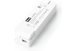 illuburg Transformateur LED 700mA Courant Constant 30W - 50W Sans Scintillement LED Bloc d'Alimentation Driver
