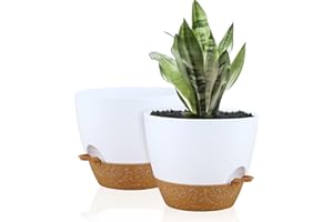 Warmplus 25cm Self-Watering Plant Pots Indoor, 2 Pack Large Plastic Plant Pots with Deep Reservior and High Drainage Holes for Indoor Outdoor Plants and Flowers, White with Terracotta