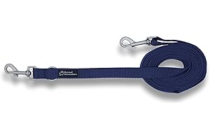 Animal Connection GUINZAGLIO Cani ADDESTRAMENTO in Nylon, 3 Metri RIDUCIBILE 1,5. Tanti colori disponibili (M/L, Blu)
