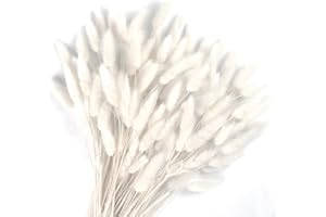 Songjum 120 PCS Dried Bunny Tails Flowers Lagurus Bunny Tails Pampas Grass Decor White Dried Pampas Grass Decor for Flower Arrangements Boho Wedding Bouquets Home Decor Garden Decor