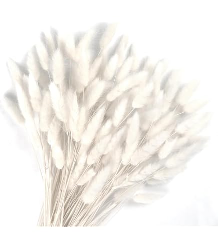 120 Brins D'herbe Queue De Lapin Séchée - 43 Cm, Jaune/vert, Pour Déco Mariage, Noël, Bouquets