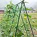 Produktbild Ainstsk Garten-Netz Net, Kunststoff Flexible Garten Spalier Net Pflanzen Klettern Fechten Barriere, Fruit Tree Schützen Anti Pest Weed