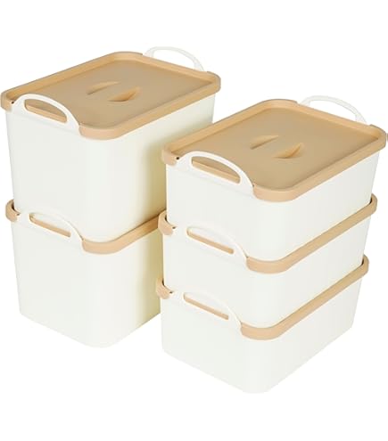 Scatole Portaoggetti Con Coperchio Bailtouk - 2 Pezzi Impilabili Per Organizzare Casa E Ufficio - Foto 9